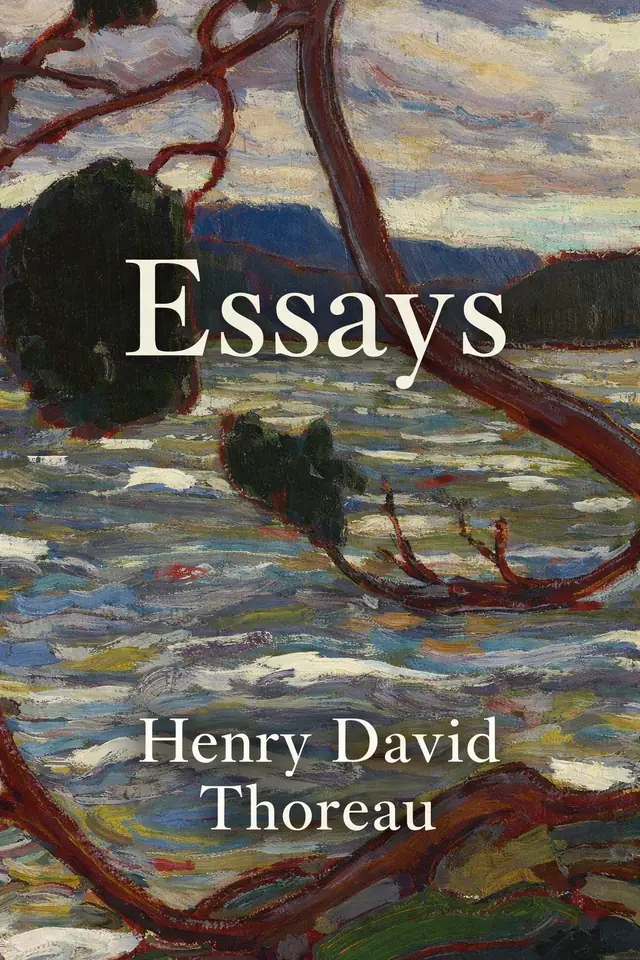 Essays